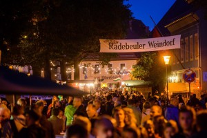 Das 24. Radebeuler Herbst- und Weinfest mit dem XIX. Internationalem Wandertheaterfestival unter dem Motto „Vivat William““ in Altkötzschenbroda, fotografiert am 27. September 2014. Foto: André Wirsig