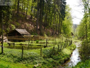 Sächsische Schweiz 