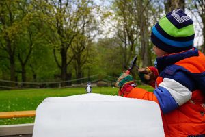 Welt Pinguin Tag im Zoo Dresden 